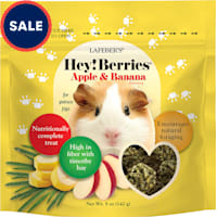 Lafeber's Hey!Berries Apple & Banana for Treats Guinea Pigs