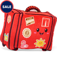Petco 2 for $5 Suitcase Plush Dog Toy