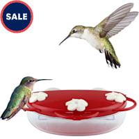 Nature's Way Traditional Window Plastic Hummingbird Feeder