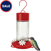 Nature's Way Charming Cherry Glass Gravity Hummingbird Feeder