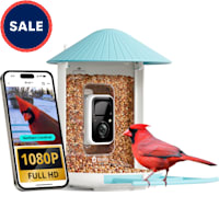 Birdfy Smart Bird Feeder Camera AI Recognition