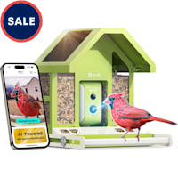 Birdfy Metal Bird Feeder with Camera Squirrel Proof, AI Lifetime Free, Solar Powered