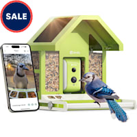 Birdfy Metal Bird Feeder with Camera Squirrel Proof, Solar Powered