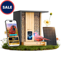 Birdfy Bamboo Smart Bird Feeder with Camera AI Lifetime Free Solar Powered