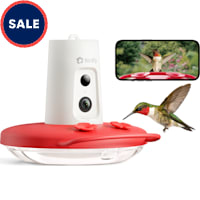 Birdfy Humming Bird Feeder with Camera, Motion Detection