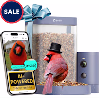 Birdfy Rookie Smart Bird Feeder with Camera, Slow Motion and Dual Night Vision