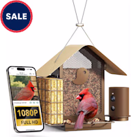 Birdfy Metal V Bird Feeder with Camera, Durable Suet Feeder Dual Camera AI by Subscription