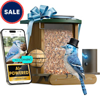 Birdfy Cedar D Smart Bird Feeder with Camera, Free Lifetime AI Camera Bird Feeder