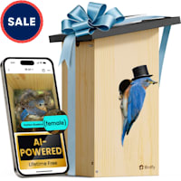 Birdfy Smart Bird Houses for Outside Solar Powered 1080P HD Live View Bird House with Camera