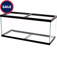 Aqueon Standard Glass Aquarium Tank 75 Gallon