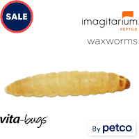 Vita-Bugs Waxworms