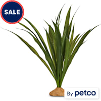 Imagitarium Orchid Grass Terrarium Plant