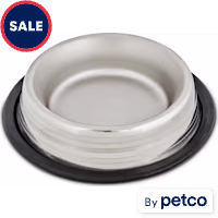EveryYay Dining In Two-Toned No-Tip Stainless Steel Dog Bowl