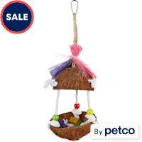 You & Me Tropical Teasers Tiki Hut Bird Toy
