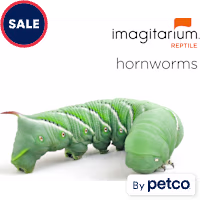 Hornworms