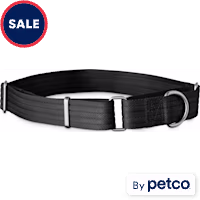 EveryYay Martingale Dog Collar