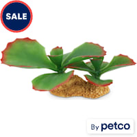 Imagitarium Succulent Terrarium Decor