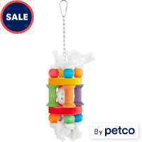 You & Me Have A Ball Noisemaking Bird Toy