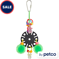 You & Me Rays The Roof Chewing Assorted Bird Toy