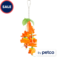 You & Me Orange You Glad Chewing Bird Toy