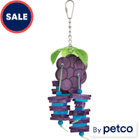 You & Me Grape Expectations Chewing Bird Toy
