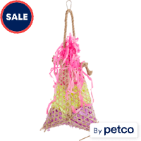 You & Me Fiesta Pinata Foraging Bird Toy