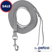 EveryYay Settin' the Pace Recall Training Leash for Dogs