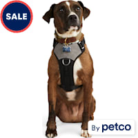 Reddy Jacquard Dog Harness