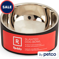 Reddy Slanted Stainless-Steel Slanted Dog Bowl