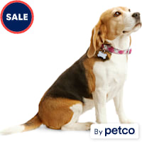 YOULY Geo Print Reflective Dog Collar