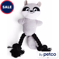 Petco Plush Racoon with Rope Dog Toy