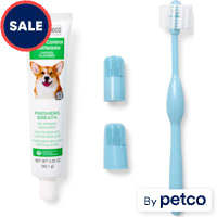 Well & Good Dental Health Kit with Chicken-Flavored Toothpaste for Dogs