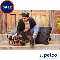Reddy Step In Small Dog Harness
