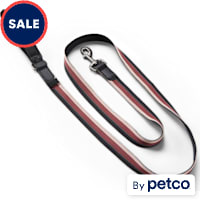 Reddy Stripe Dog Leash