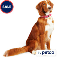 YOULY Leather Bling Pink Dog Collar