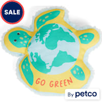 Petco Sea Turtle Dog Toy