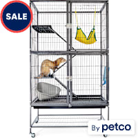 EveryYay Feisty Ferret Home