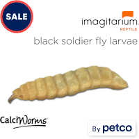 Calciworms