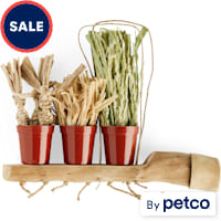 You & Me Plant Trio Toy