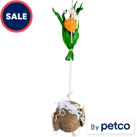You & Me Hanging Coconut Plant Toy