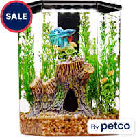 Imagitarium Plastic Hexagon Betta Aquarium