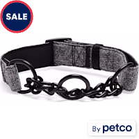 YOULY Black Martingale Dog Collar