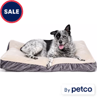 EveryYay Essentials Lounger Dog Bed