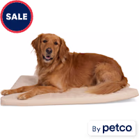 EveryYay Tan Durable Dog Mat