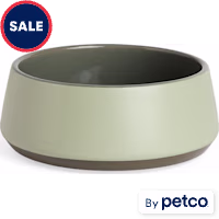 Reddy Green Angular Dog Bowl