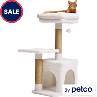 EveryYay Cozy Condo 2-Level Cat Tree