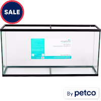 Imagitarium 55 Gallon Open-Glass Aquarium Tank