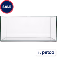 Imagitarium Frameless Shallow Glass Aquarium