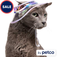 YOULY Iridescent Bucket Cat Hat