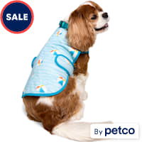 YOULY Cooling Reversible Warm Weather Dog Vest